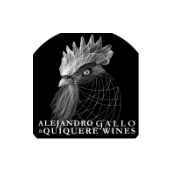 alejandro gallo logo BW