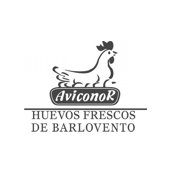 logo aviconor